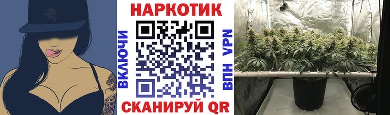 Виды наркотиков купить Тара Лсд 25  Cocaine  АМФЕТАМИН  Мефедрон  Канабис 