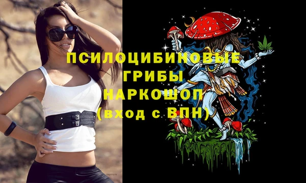 винт Алзамай