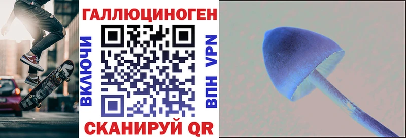 Псилоцибиновые грибы Psilocybine cubensis Тара