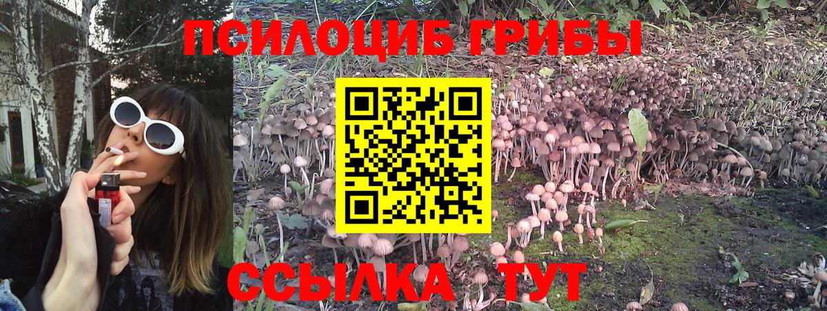 Псилоцибиновые грибы ЛСД Тара