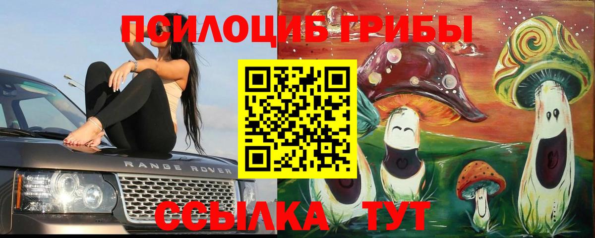 Галлюциногенные грибы ЛСД  Вход с VPN  Галлюциногенные грибы Cubensis  Тара 